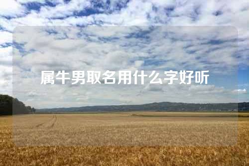 属牛男取名用什么字好听