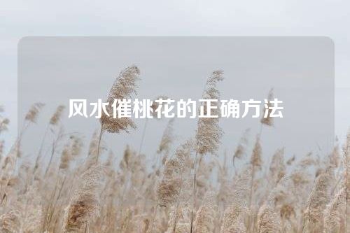 风水催桃花的正确方法