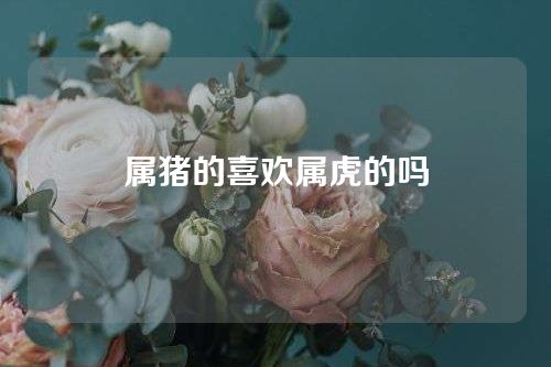 属猪的喜欢属虎的吗
