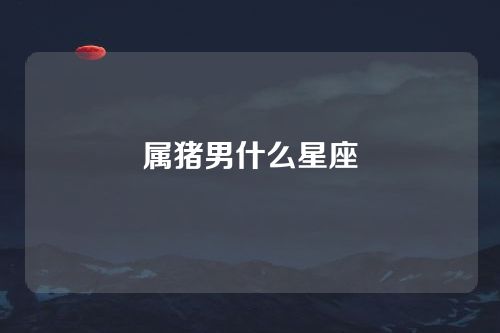 属猪男什么星座
