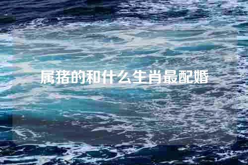 属猪的和什么生肖最配婚