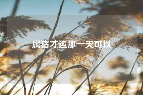 属猪才运那一天可以