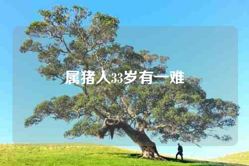 属猪人33岁有一难