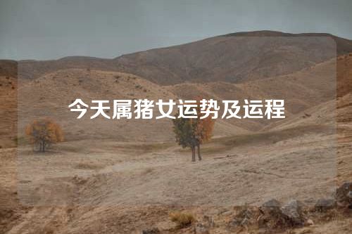 今天属猪女运势及运程