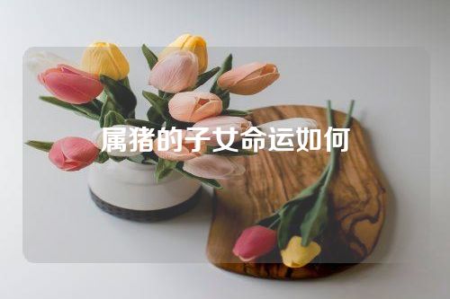 属猪的子女命运如何