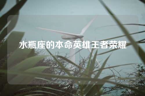 水瓶座的本命英雄王者荣耀