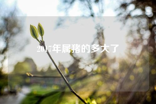 2017年属猪的多大了