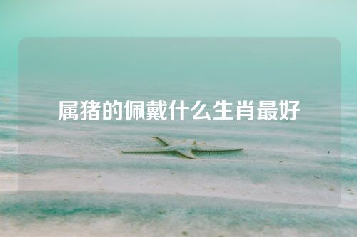属猪的佩戴什么生肖最好