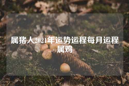 属猪人2021年运势运程每月运程属鸡