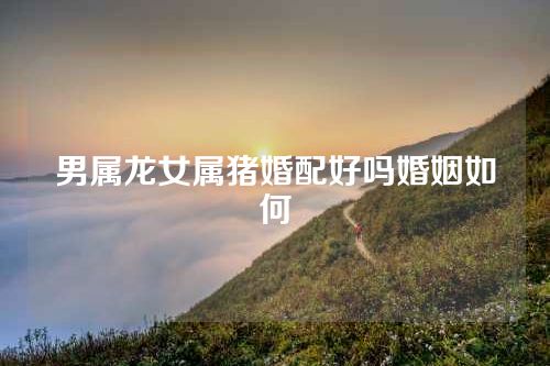 男属龙女属猪婚配好吗婚姻如何