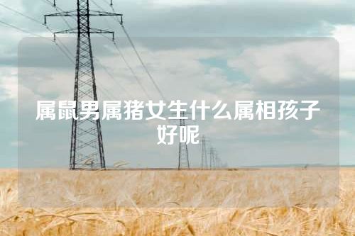 属鼠男属猪女生什么属相孩子好呢
