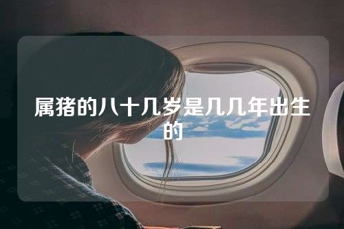 属猪的八十几岁是几几年出生的