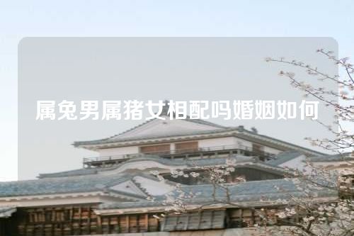 属兔男属猪女相配吗婚姻如何
