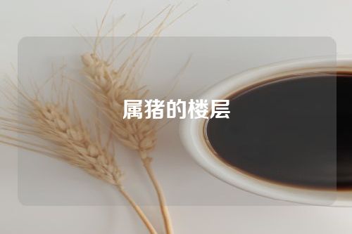 属猪的楼层