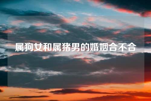 属狗女和属猪男的婚姻合不合