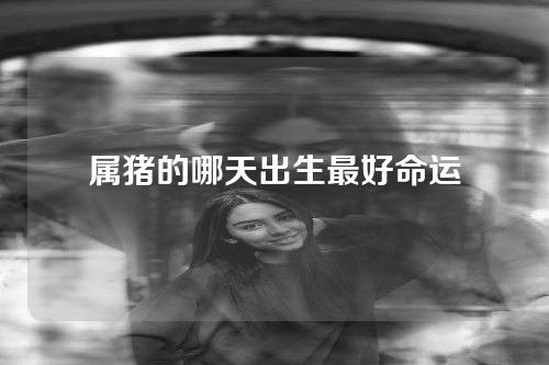属猪的哪天出生最好命运