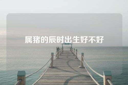 属猪的辰时出生好不好