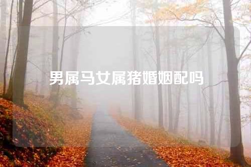男属马女属猪婚姻配吗