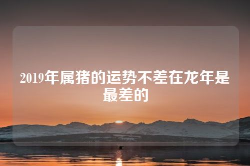 2019年属猪的运势不差在龙年是最差的