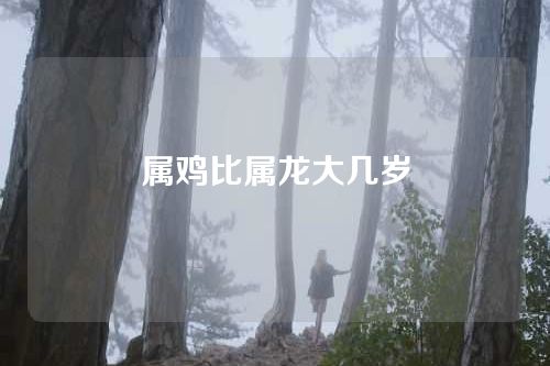 属鸡比属龙大几岁