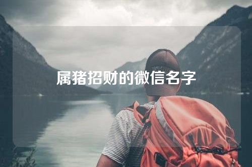 属猪招财的微信名字