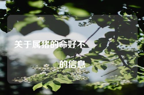 关于属猪的命好不																			的信息