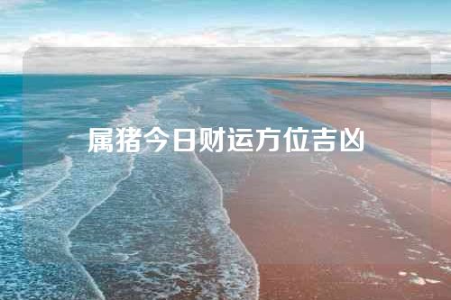 属猪今日财运方位吉凶