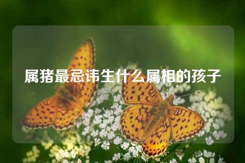 属猪最忌讳生什么属相的孩子