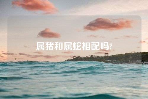 属猪和属蛇相配吗?