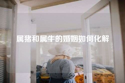 属猪和属牛的婚姻如何化解