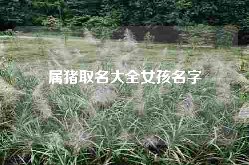 属猪取名大全女孩名字