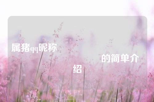 属猪qq昵称																			的简单介绍