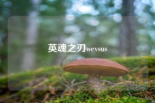英魂之刃wevsus