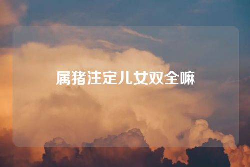 属猪注定儿女双全嘛