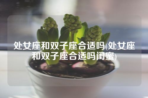 处女座和双子座合适吗(处女座和双子座合适吗闺蜜)