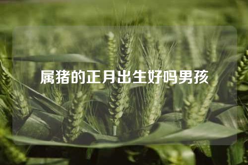 属猪的正月出生好吗男孩
