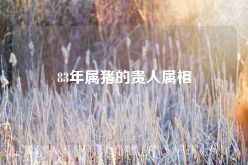 83年属猪的贵人属相