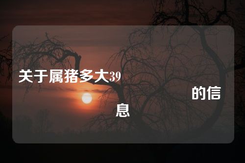 关于属猪多大39																			的信息