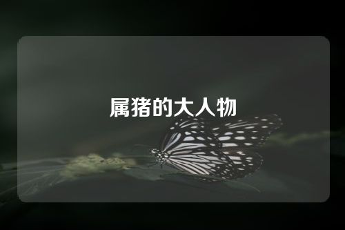 属猪的大人物