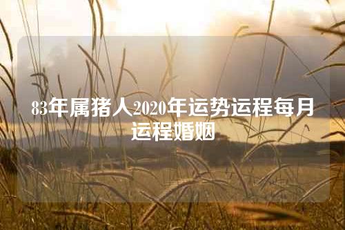 83年属猪人2020年运势运程每月运程婚姻