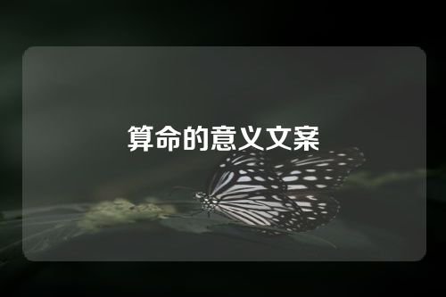 算命的意义文案