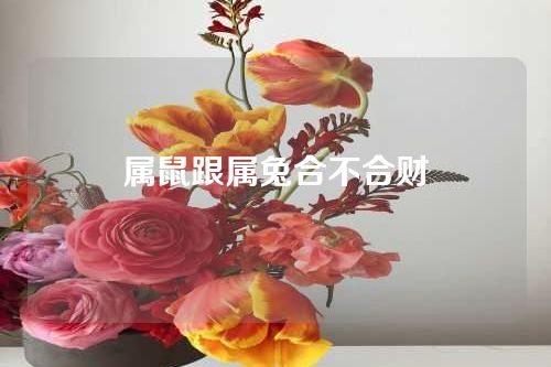 属鼠跟属兔合不合财