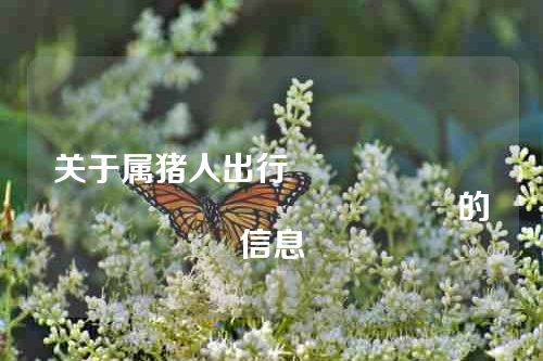 关于属猪人出行																			的信息
