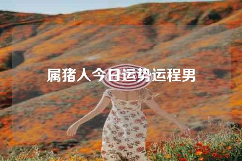属猪人今日运势运程男