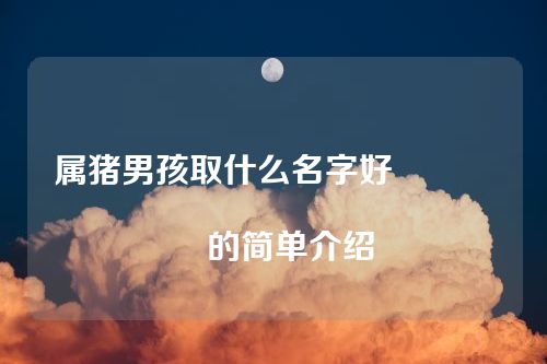 属猪男孩取什么名字好																			的简单介绍