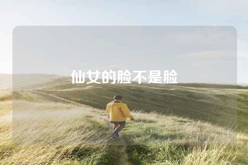 仙女的脸不是脸