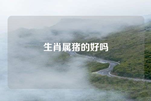 生肖属猪的好吗