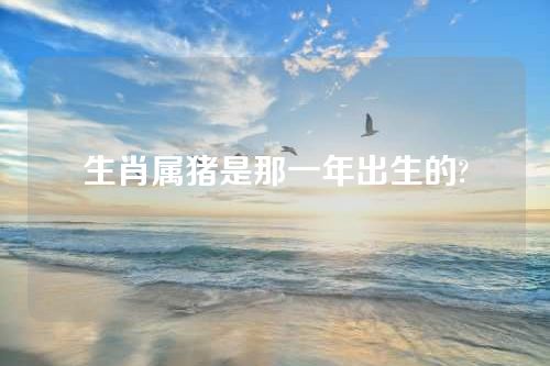 生肖属猪是那一年出生的?