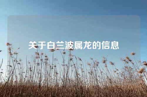 关于白兰波属龙的信息