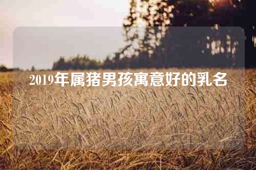 2019年属猪男孩寓意好的乳名
